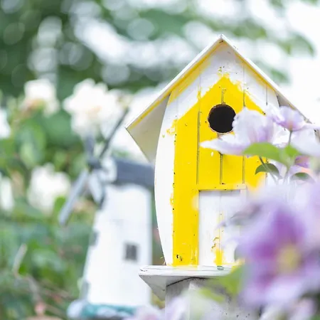 Appartement Am Walde 35177 *