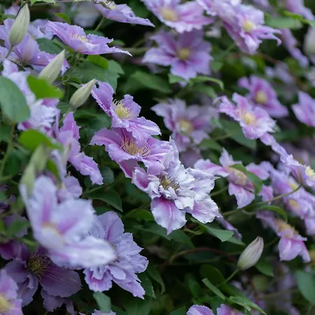 Am Walde 35177 Apartamento Hesel