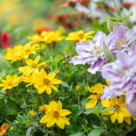 Am Walde 35177 * Hesel