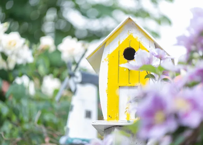 公寓 Am Walde 35177 *