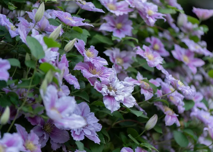 Am Walde 35177 公寓 黑瑟尔