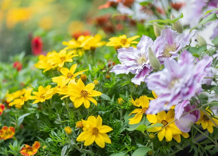 Am Walde 35177 * Хезель